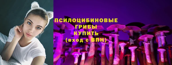 круглые Алзамай