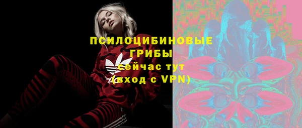 круглые Алзамай